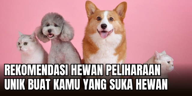 14 Hewan Peliharaan Unik & Adaptif: Cocok untuk Pecinta Satwa Urban!
