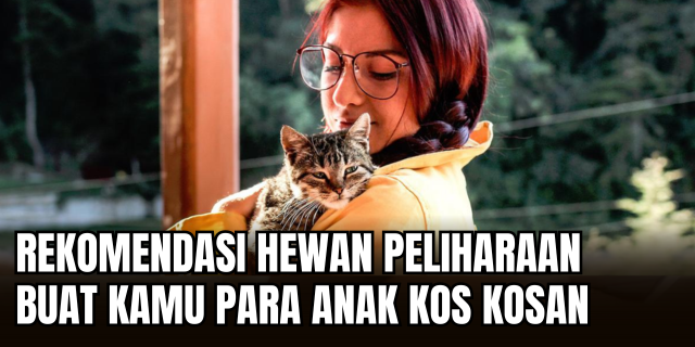 Teman Hidup di Ruang Terbatas: 7 Rekomendasi Hewan Peliharaan Ideal untuk Anak Kos